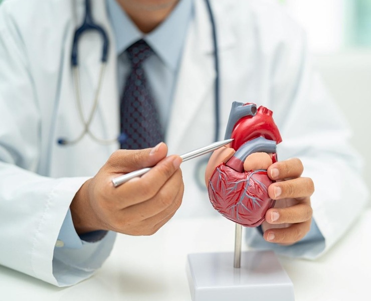 Cardiology Services